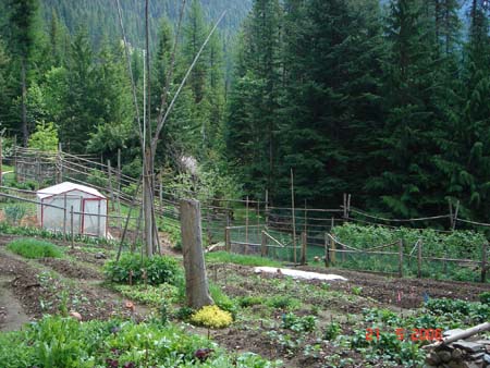 argenta_jardin_1
