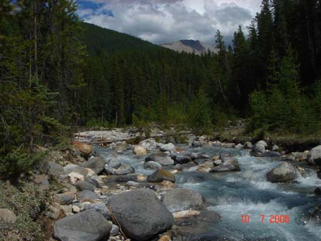 ruisseau_golden_1