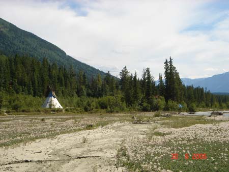 tipi_golden_1