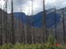 parc_national_kootenay_1